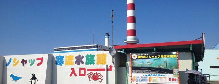 ノシャップ寒流水族館 is one of 水族館（らしきものも含む）.