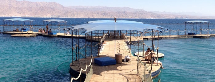 Dolphin Reef is one of Eilat.