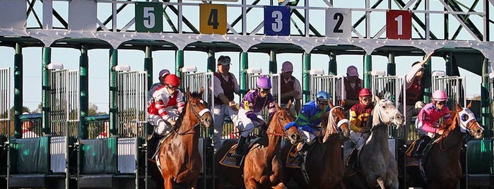 Parx Casino is one of Horse Tracks in PA.