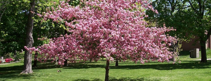 Marywood University is one of Gardens in Pennsylvania.