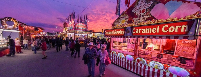 Bloomsburg Fair is one of Conseil de visitPA.