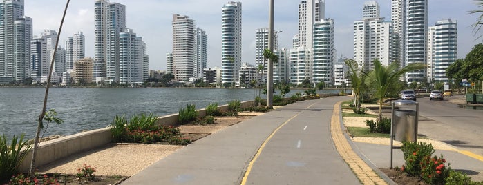 Paseo peatonal is one of Conocete Cartagena, Colombia.