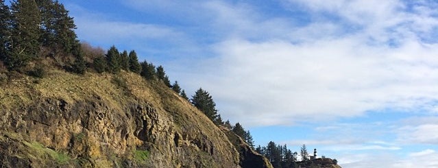 Cape Disappointment State Park is one of Long Beach/Astoria.