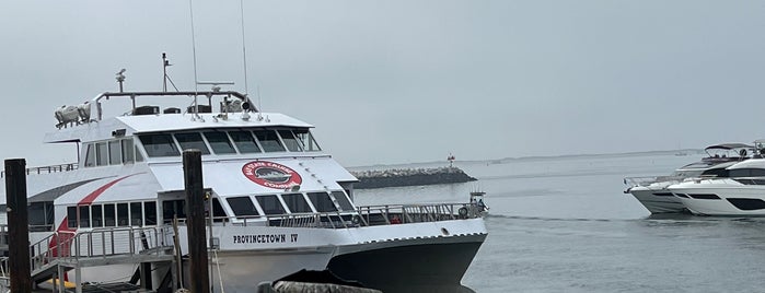 Bay State Cruise Company Fast Ferry - Provincetown To Boston is one of Provincetown, MA.