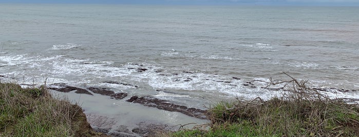 Duxbury Reef Reserve is one of Lugares favoritos de Ryan.