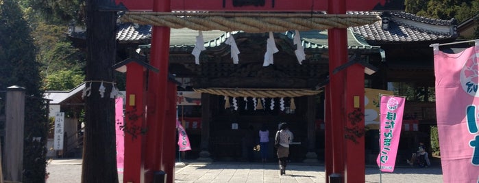 箭弓稲荷神社 is one of 埼玉県_東松山市_1.