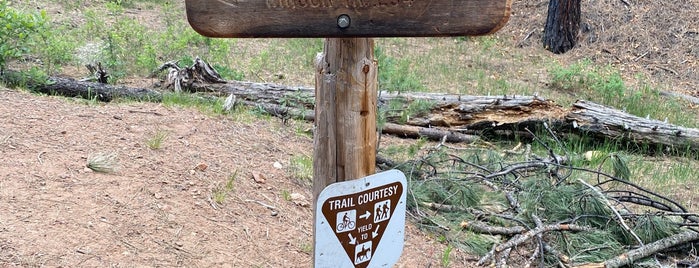 Borrego Trail head is one of Santa Fe.