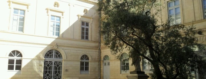 Musée Fabre is one of Montpellier, baby!.