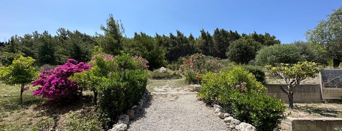 Hippocratic Botanic Garden is one of Kos.