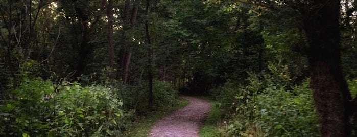 Highbanks Metro Park is one of Outdoor Trails and Recreation.