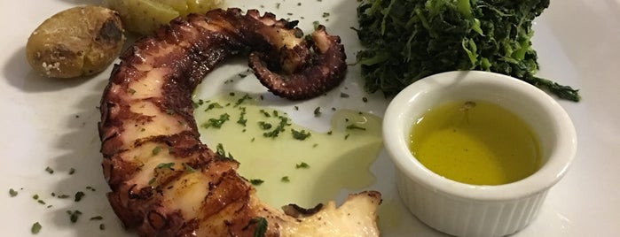 xisko is one of Braga Guitarraes Portugal.