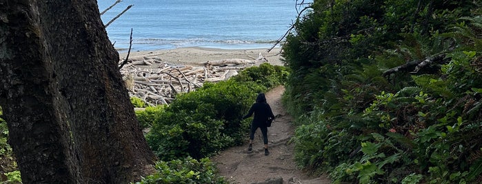 Third Beach is one of Olympic National Park 💚.