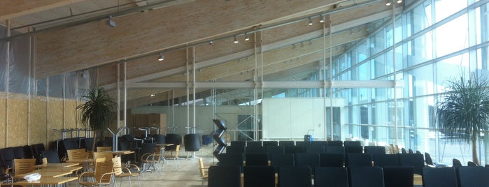 Aalborg Airport (AAL) is one of The Next Big Thing.