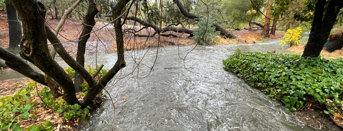 Markham Nature Park and Arboretum is one of NorCal list.