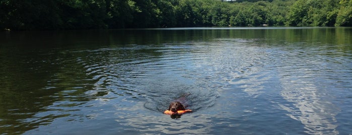 Ramapo Reservation Upper Lake is one of Denise D.'ın Beğendiği Mekanlar.