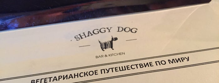 Shaggy is one of можно с собаками.