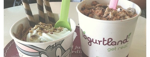 Yogurtland is one of สถานที่ที่ Blake ถูกใจ.