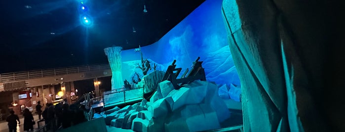 Ice Age Arctic Adventure is one of SHASYA ACTIVITY.