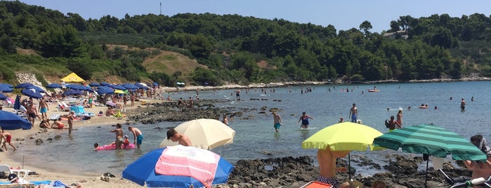 Soline beach, Korčula/Lumbarda is one of Korcula.