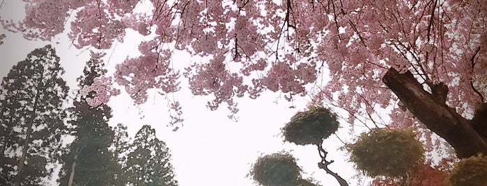 Sakurayama-jinja Shrine is one of 東北夏祭（To-Do）.