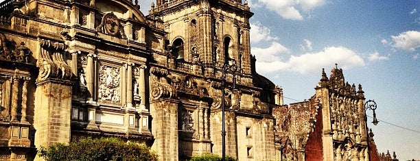 Catedral Metropolitana de la Asunción de María is one of MX - Mexico.