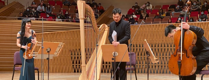 Shanghai Symphony Hall is one of Locais curtidos por Steffen.