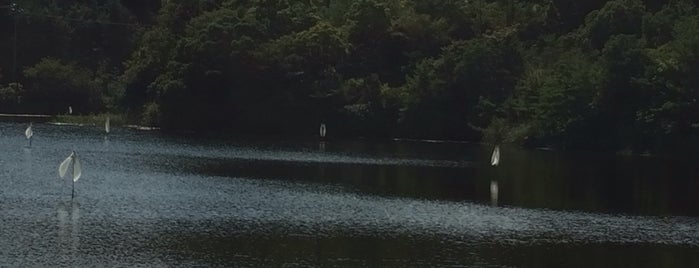 Sense in the Distance is one of Art on Naoshima.