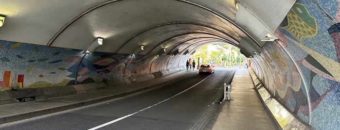 瀬田アートトンネル is one of 東京隧道.