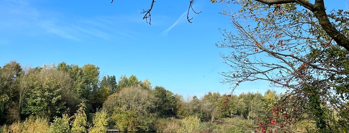 Longton Brickcroft Nature Reserve is one of Gespeicherte Orte von Phat.