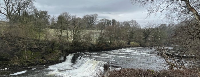 Aysgarth Falls National Park Centre is one of Neetaさんのお気に入りスポット.
