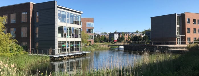Edge Hill University is one of Ormskirk Life.