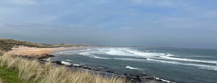 Beadnell Bay is one of Lieux qui ont plu à Tristan.