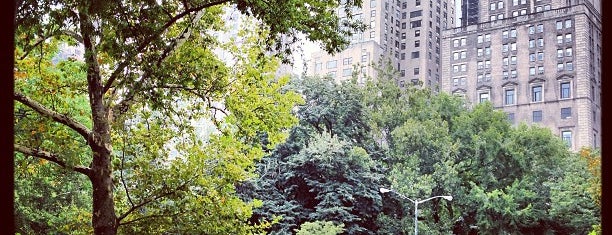 Central Park is one of NY Places.