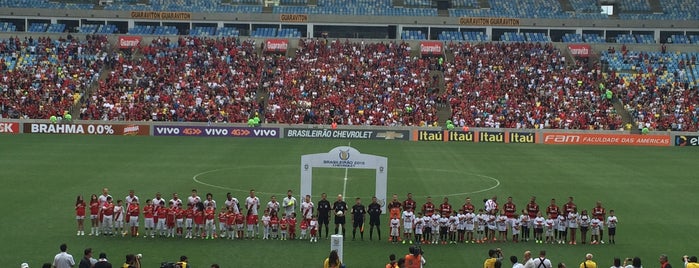 Mário Filho (Maracanã) Stadium is one of #StefanieCaio Favourites in Rio.