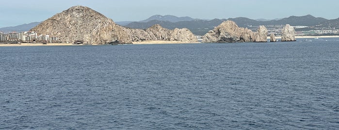 Tortuga Beach is one of Los cabos.