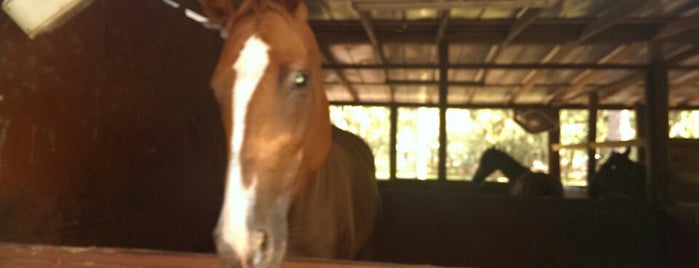 RVR Horse Rescue is one of Janelleさんのお気に入りスポット.