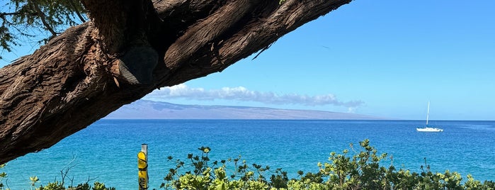 Kaanapali Beach Walk is one of Maui.