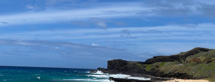 Sandy Beach Park is one of Hawaiian Shirts 24/7.