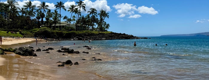 Ulua Beach is one of Maui places to check out.