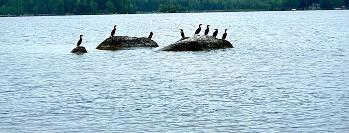 Branch Lake is one of Favorite Great Outdoors.