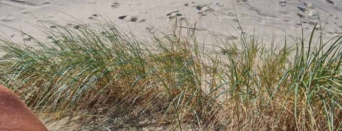 Hondenstrand is one of dogruns.