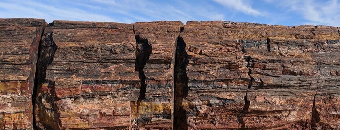 Giant Logs Trail is one of สถานที่ที่ Dylan ถูกใจ.