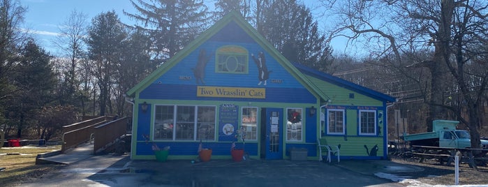 Two Wrasslin Cats is one of Westport.