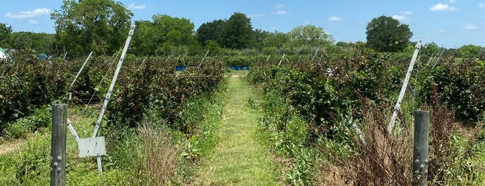 Blessington Farms is one of Houston.