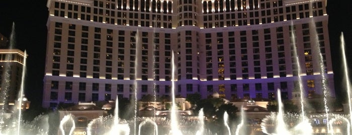 Bellagio Hotel & Casino is one of Vegas, baby!.