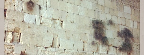 The Western Wall (Kotel) is one of 2006.02 · Mediterrabia.