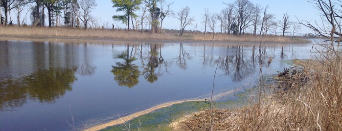 Prime Hook National Wildlife Refuge is one of National Recreation Areas.