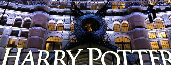 Harry Potter and the Cursed Child - Parts One and Two is one of Lieux qui ont plu à DJ.