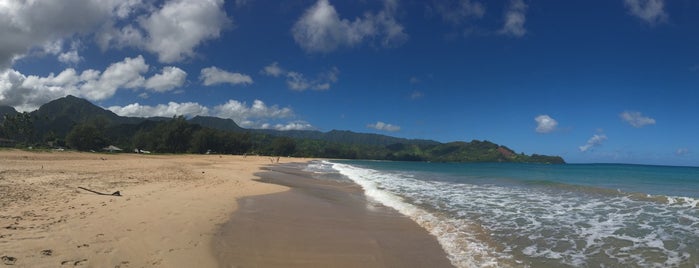 Hanalei Beach is one of Lieux qui ont plu à DJ.