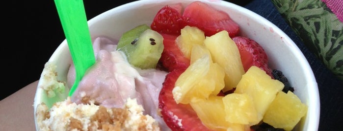 Frozen Yogurt Inspirations is one of Food.